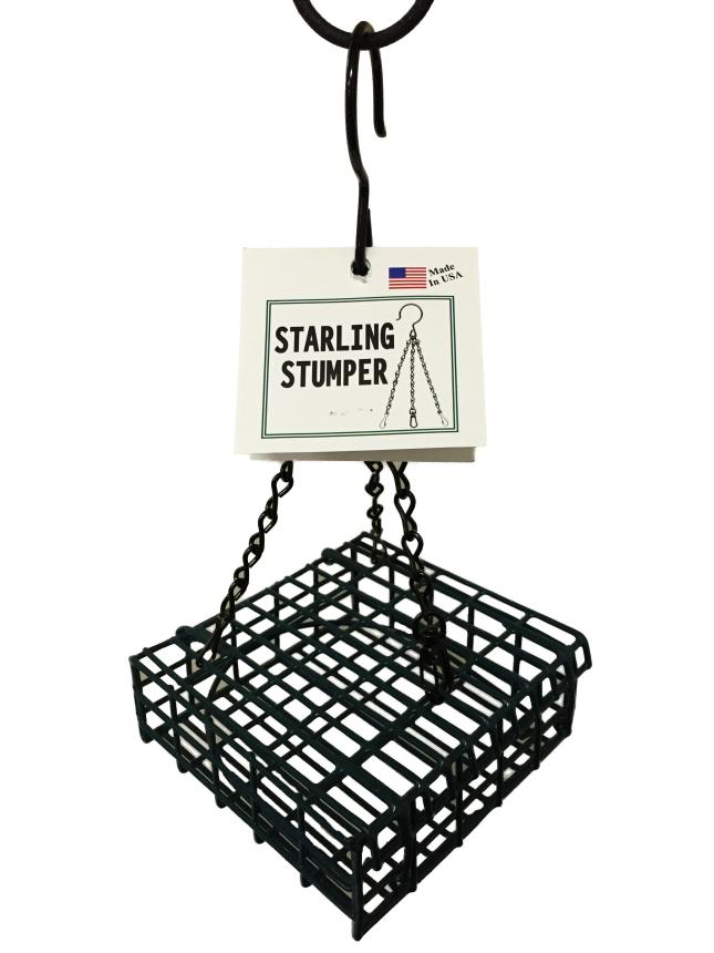 Starling Stumper