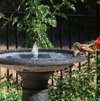 Solar Birdbath Fountain Insert