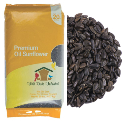 Premium Black Oil Sunflower Seed