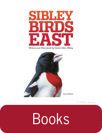 Books - Bird Books