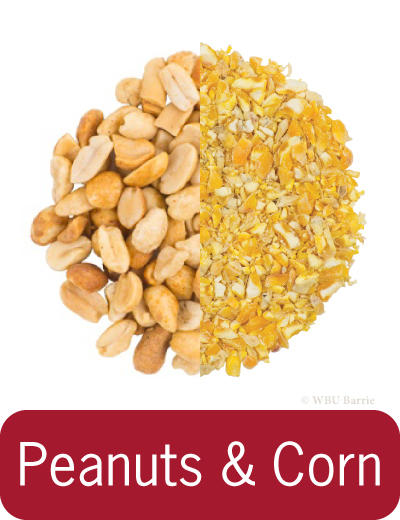 Food - Peanuts & Corn