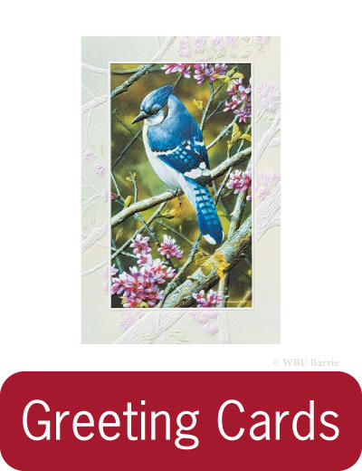 Greeting Cards