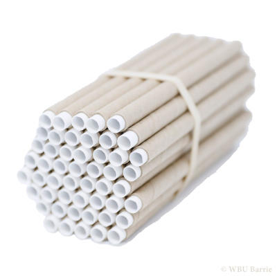 Mason Bee Cardboard Tubes with Inserts