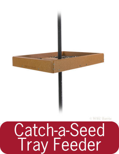 Feeders - EcoTough Catch-A-Seed Tray Feeder
