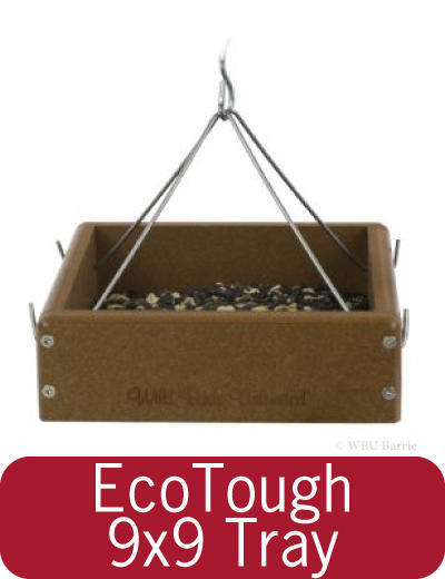 Feeders - EcoTough 9x9 Hanging Tray Feeder