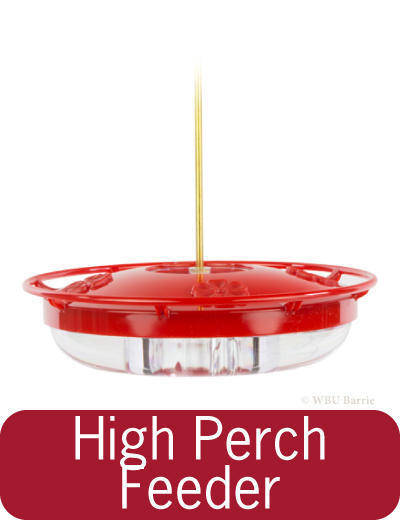 Feeders - High Perch Hummingbird Feeder