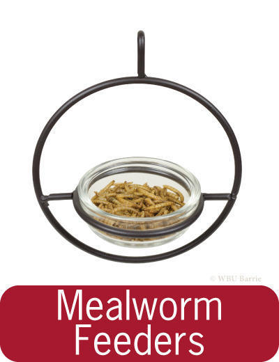 Button - Mealworm Feeders