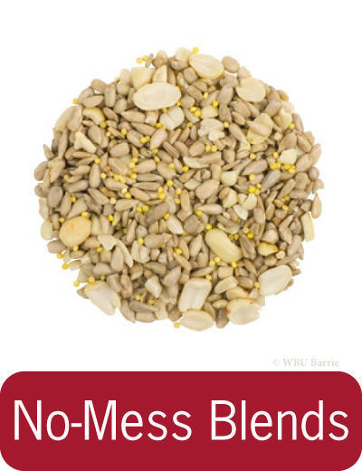 Food - No-Mess Blends