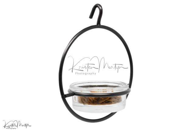 7" Metal Sphere and Glass Mealworm Feeder