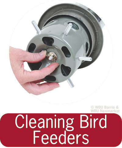 Cleaning Bird Feeders